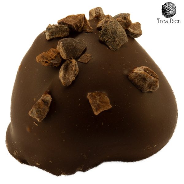 Huis gemaakte Cacao Nips pure chocolade