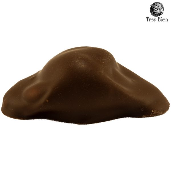 Huis gemaakte Amarena Kers pure chocolade